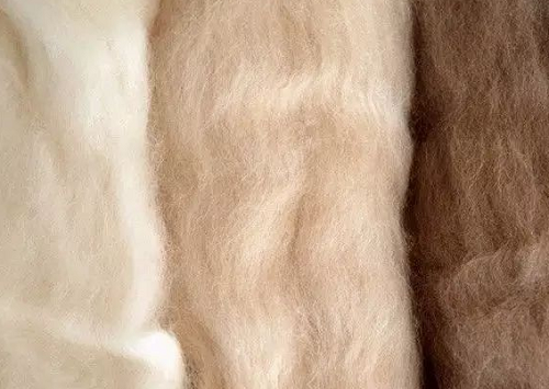 什么是羊绒？羊绒面料的优缺点？